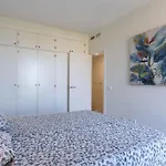 89-penthouse With Stunning Views, 公寓 丰希罗拉